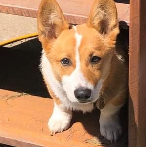 Meet your Posher, Tammy